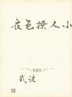 夜色撩人小说