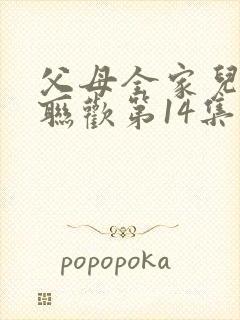 父母全家儿女大联欢第14集