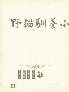 野猫驯养小说