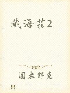 藏海花2