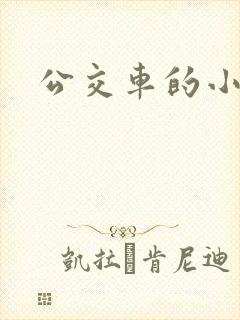公交车的小说