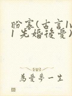 盼寡(古言1v1 先婚后爱)荔枝好多