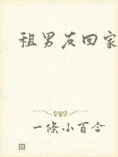 租男友回家过年