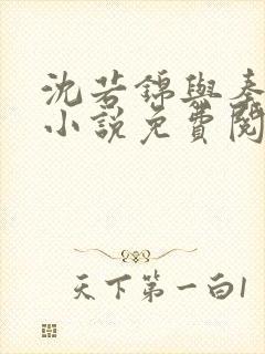 沈若锦与秦琅的小说免费阅读