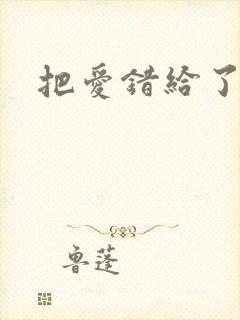 把爱错给了你
