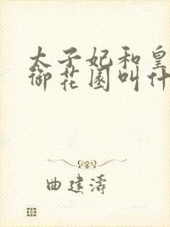 太子妃和皇帝在御花园叫什么小说