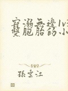 宠溺无边1v3双胞胎的小说