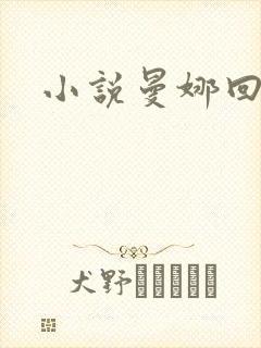 小说曼娜回忆录