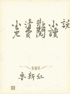小清欢小说全文免费阅读