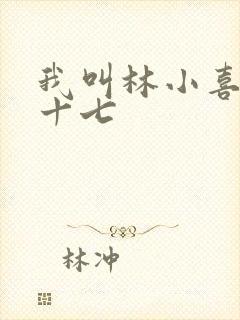 我叫林小喜今年十七