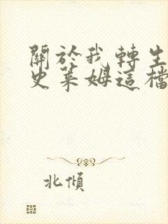 关于我转生变成史莱姆这档事小说