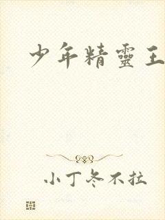 少年精灵王