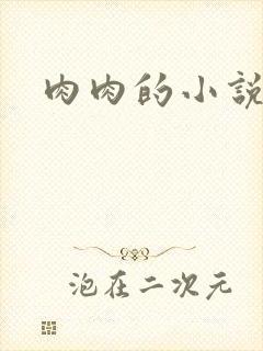 肉肉的小说