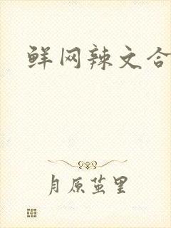 鲜网辣文合集