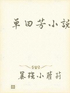 单田芳小说
