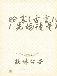 盼寡(古言1v1 先婚后爱)