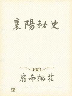 襄阳秘史