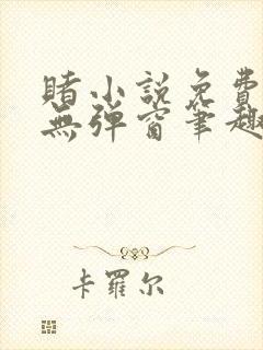 赌小说免费阅读无弹窗笔趣阁