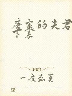 唐家的夫君们帘下衾