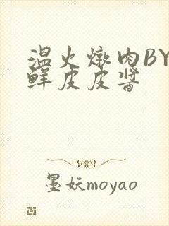 温火炖肉BY海鲜皮皮酱