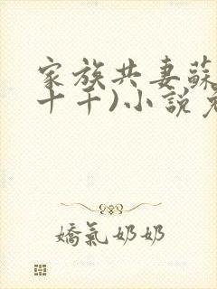 家族共妻苏苏(十千)小说免费