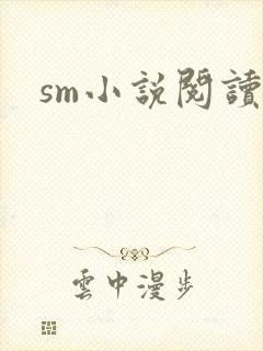 sm小说阅读