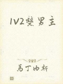 1V2双男主