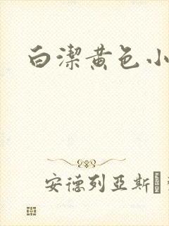白洁黄色小说