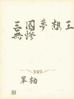 三国梦想王元姬无惨
