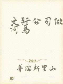 文轩公司做扩张河马