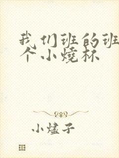 我们班的班花是个小烧杯