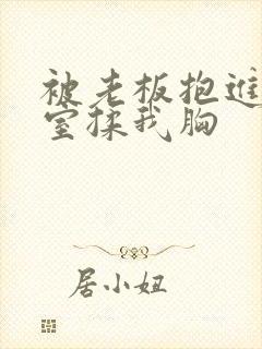 被老板抱进办公室揉我胸