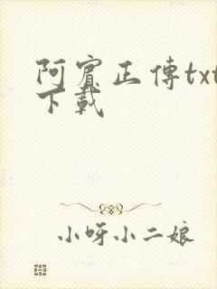 阿宾正传txt下载