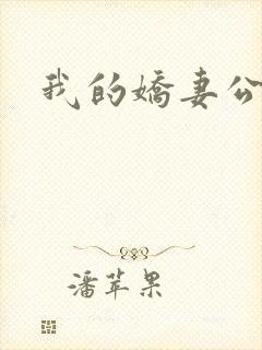 我的娇妻公务员