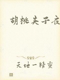 胡桃夹子夜未眠
