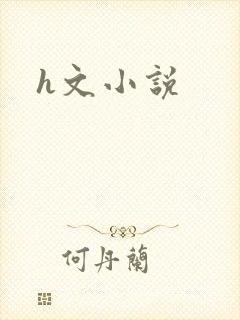 h文小说