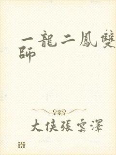 一龙二凤双飞老师
