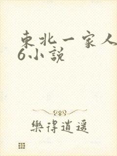 东北一家人1一6小说