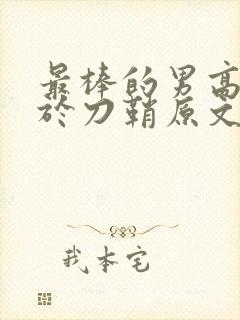 最棒的男高中生于刀鞘原文阅读