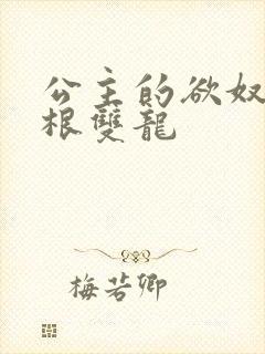 公主的欲奴h四根双龙