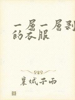 一层一层剥开我的衣服