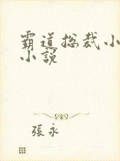 霸道总裁小娇妻小说