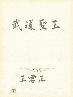 武道圣王
