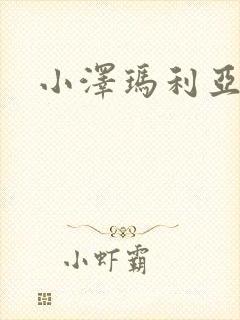 小泽玛利亚作品