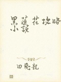 黑莲花攻略手册小说
