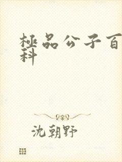 极品公子百度百科