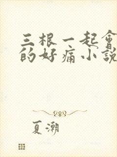 三根一起会坏掉的好痛小说