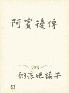 阿宾后传