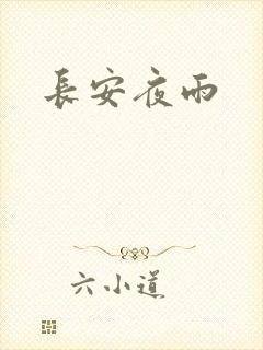 长安夜雨