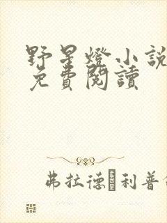 野星灯小说全文免费阅读